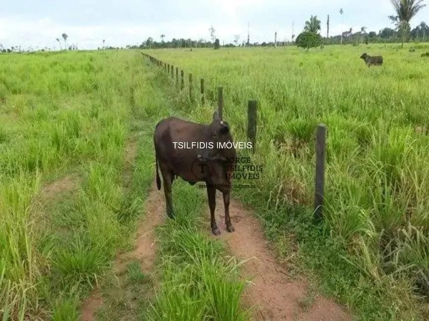 Fazenda / Haras com 20 quartos à venda, 16777215m2 em Centro, Aripuana - MT - imagem 9 Foto 9 de Fazenda / Haras com 20 quartos à venda, 16777215m2 em Centro, Aripuana - MT