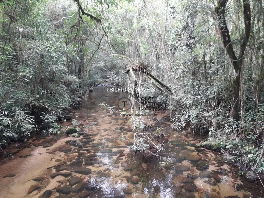 Sítio / Rancho com 4 quartos à venda, 556600m2 em Área Rural de Campo Largo, Campo Largo - PR - imagem 6 Foto 6 de Sítio / Rancho com 4 quartos à venda, 556600m2 em Área Rural de Campo Largo, Campo Largo - PR