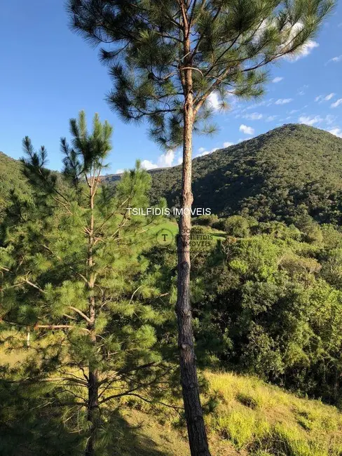 Sítio / Rancho com 4 quartos à venda, 556600m2 em Área Rural de Campo Largo, Campo Largo - PR - imagem 3 Foto 3 de Sítio / Rancho com 4 quartos à venda, 556600m2 em Área Rural de Campo Largo, Campo Largo - PR