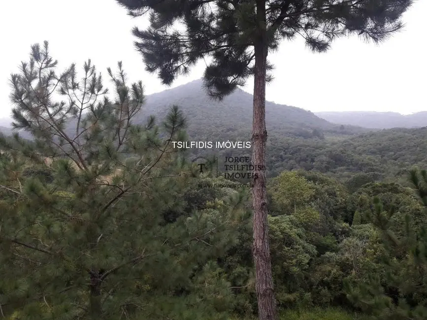 Sítio / Rancho com 4 quartos à venda, 556600m2 em Área Rural de Campo Largo, Campo Largo - PR - imagem 4 Foto 4 de Sítio / Rancho com 4 quartos à venda, 556600m2 em Área Rural de Campo Largo, Campo Largo - PR