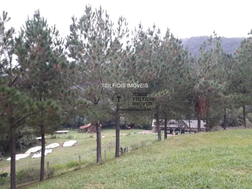 Sítio / Rancho com 4 quartos à venda, 556600m2 em Área Rural de Campo Largo, Campo Largo - PR - imagem 5 Foto 5 de Sítio / Rancho com 4 quartos à venda, 556600m2 em Área Rural de Campo Largo, Campo Largo - PR