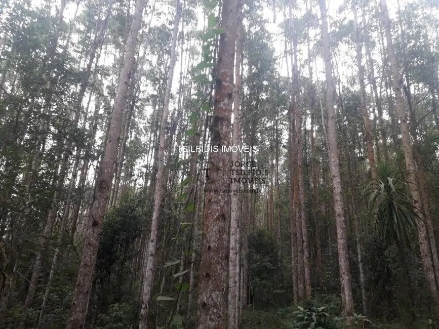 Sítio / Rancho com 2 quartos à venda, 556600m2 em Itaqui de Cima, Campo Largo - PR - imagem 7 Foto 7 de Sítio / Rancho com 2 quartos à venda, 556600m2 em Itaqui de Cima, Campo Largo - PR