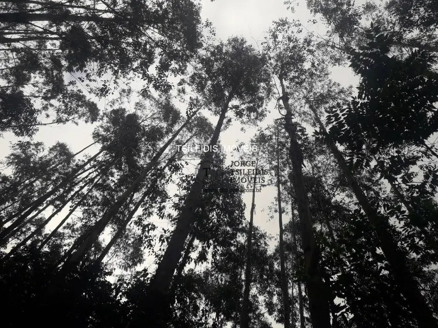 Sítio / Rancho com 2 quartos à venda, 556600m2 em Itaqui de Cima, Campo Largo - PR - imagem 6 Foto 6 de Sítio / Rancho com 2 quartos à venda, 556600m2 em Itaqui de Cima, Campo Largo - PR
