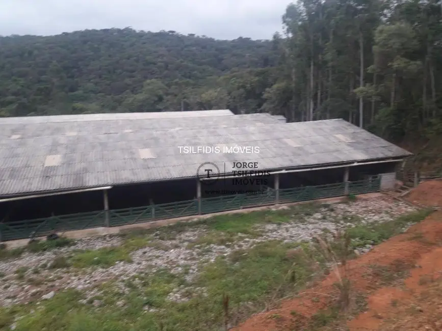 Sítio / Rancho com 2 quartos à venda, 556600m2 em Itaqui de Cima, Campo Largo - PR - imagem 5 Foto 5 de Sítio / Rancho com 2 quartos à venda, 556600m2 em Itaqui de Cima, Campo Largo - PR