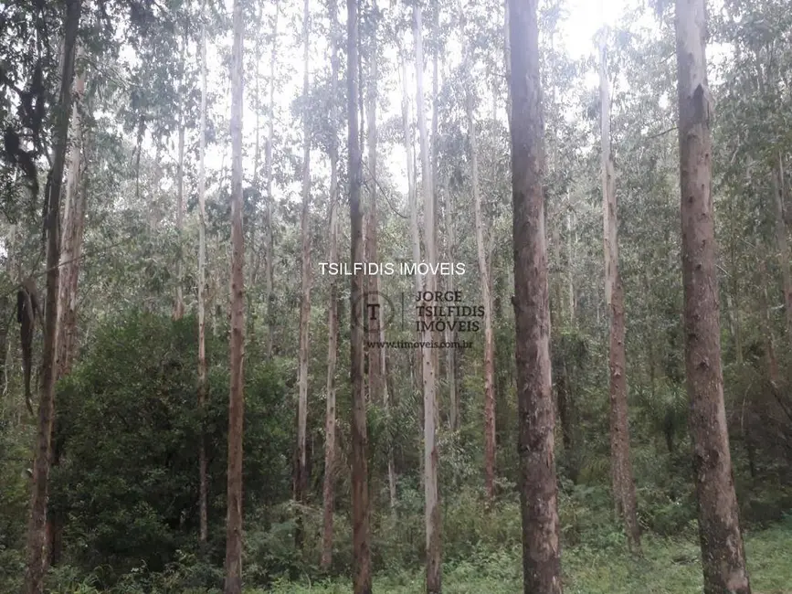 Sítio / Rancho com 2 quartos à venda, 556600m2 em Itaqui de Cima, Campo Largo - PR - imagem 4 Foto 4 de Sítio / Rancho com 2 quartos à venda, 556600m2 em Itaqui de Cima, Campo Largo - PR