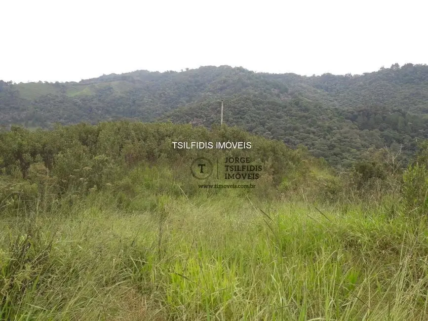 Chácara com 2 quartos à venda, 48400m2 em Área Rural de Campo Largo, Campo Largo - PR - imagem 5 Foto 5 de Chácara com 2 quartos à venda, 48400m2 em Área Rural de Campo Largo, Campo Largo - PR