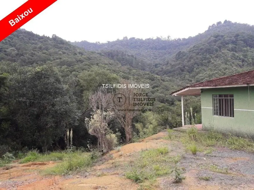 Foto 2 de Chácara com 2 quartos à venda, 48400m2 em Área Rural de Campo Largo, Campo Largo - PR