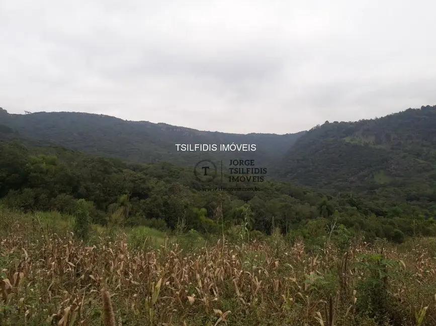 Chácara com 2 quartos à venda, 48400m2 em Área Rural de Campo Largo, Campo Largo - PR - imagem 6 Foto 6 de Chácara com 2 quartos à venda, 48400m2 em Área Rural de Campo Largo, Campo Largo - PR