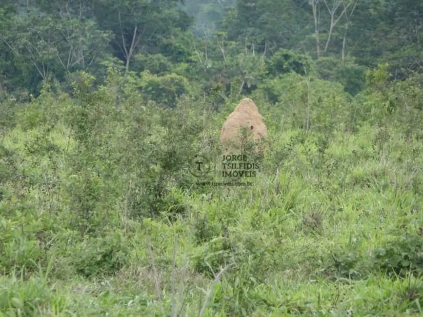 Foto 6 de Fazenda / Haras com 2 quartos à venda, 16777215m2 em Alta Floresta - MT