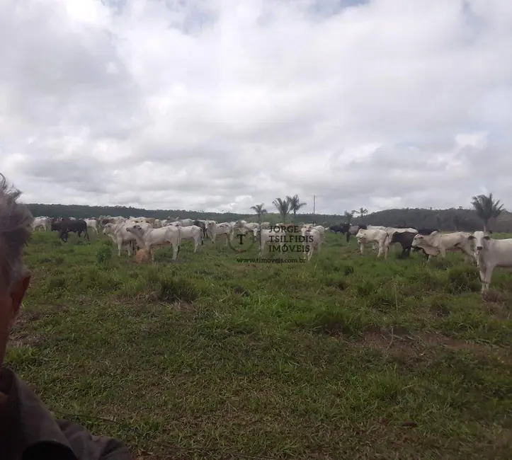 Foto 1 de Fazenda / Haras com 2 quartos à venda, 16777215m2 em Alta Floresta - MT
