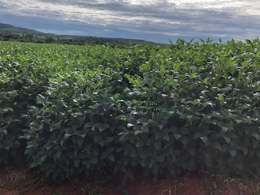 Foto 1 de Fazenda / Haras com 10 quartos à venda, 16777215m2 em Paranatinga - MT
