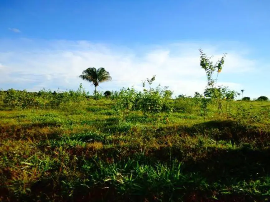 Foto 1 de Fazenda / Haras com 5 quartos à venda, 16777215m2 em Tabapora - MT