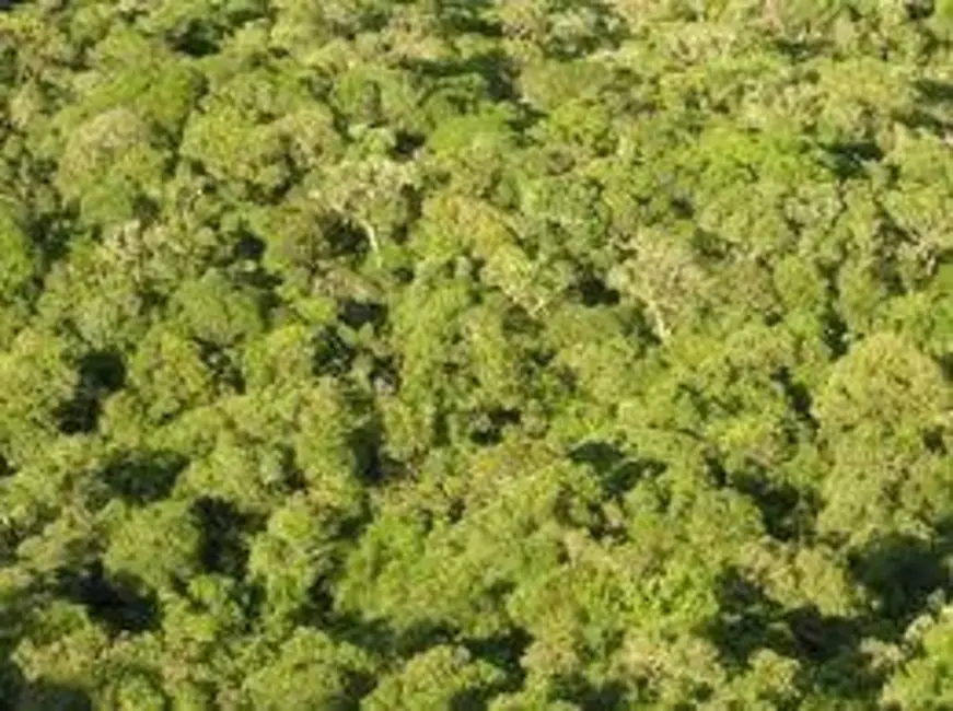 Foto 2 de Fazenda / Haras com 5 quartos à venda, 16777215m2 em Tabapora - MT