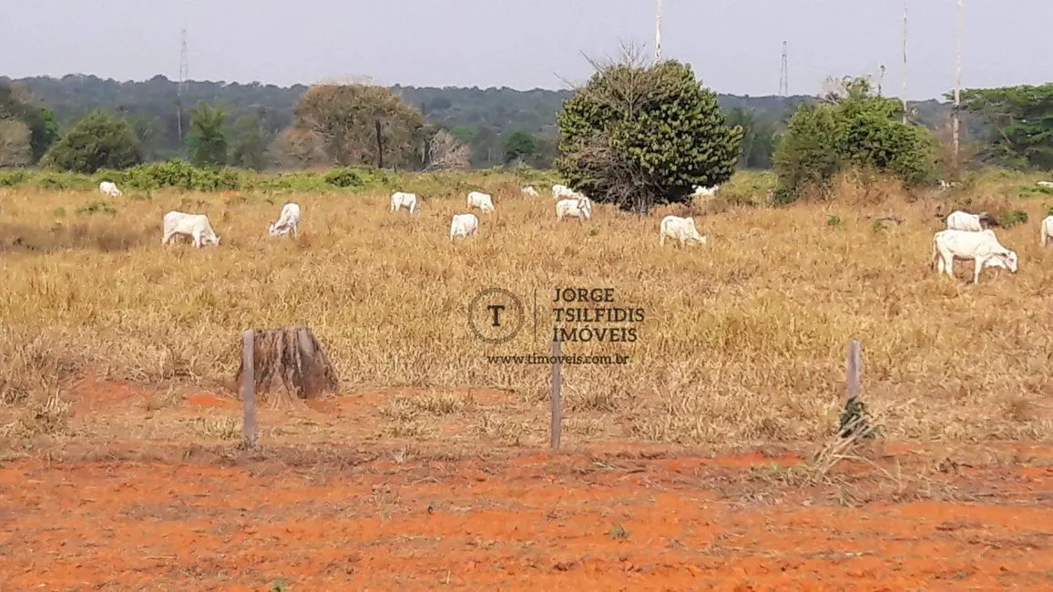 Foto 8 de Fazenda / Haras com 10 quartos à venda, 3140000m2 em Itauba - MT