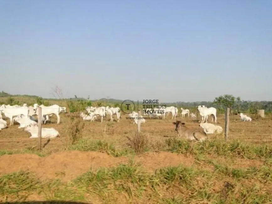 Foto 7 de Fazenda / Haras com 5 quartos à venda, 16777215m2 em Juina - MT