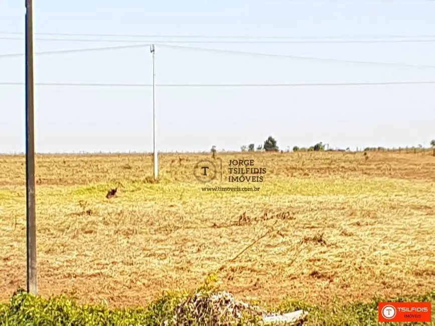 Chácara com 1 quarto à venda, 72600m2 em Sinop - MT - imagem 8 Foto 8 de Chácara com 1 quarto à venda, 72600m2 em Sinop - MT