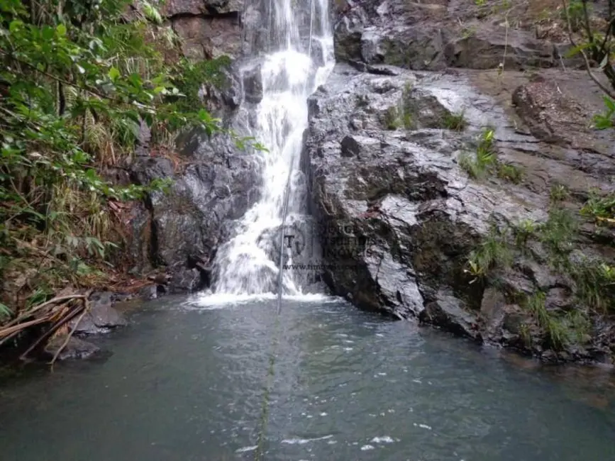 Foto 9 de Fazenda / Haras com 2 quartos à venda, 15150000m2 em Peixoto De Azevedo - MT