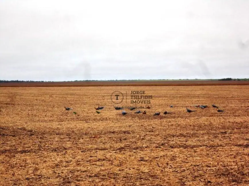 Foto 5 de Fazenda / Haras com 1 quarto à venda, 6050000m2 em Nova Maringa - MT