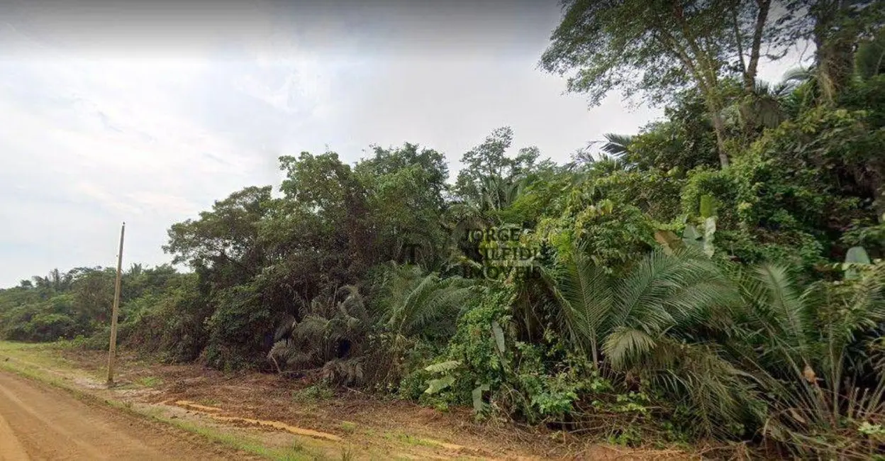 Foto 5 de Fazenda / Haras com 1 quarto à venda, 16777215m2 em São Pedro, Humaita - AM