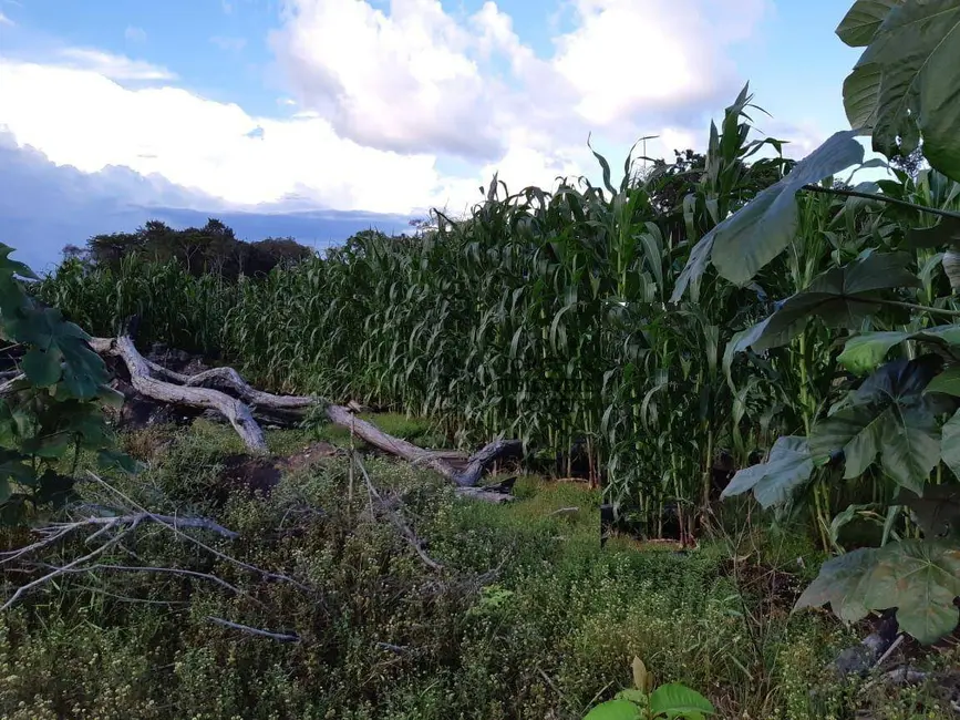 Foto 9 de Fazenda / Haras com 1 quarto à venda, 16777215m2 em São Pedro, Humaita - AM