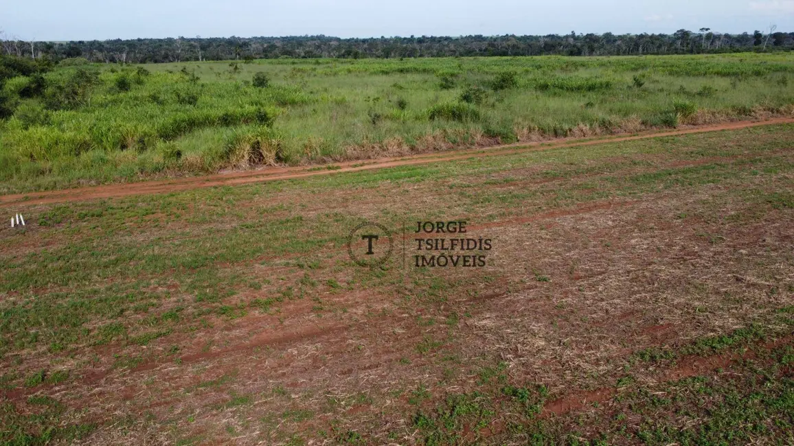 Sítio / Rancho com 1 quarto à venda, 130000m2 em Residencial Maripá, Sinop - MT - imagem 5 Foto 5 de Sítio / Rancho com 1 quarto à venda, 130000m2 em Residencial Maripá, Sinop - MT