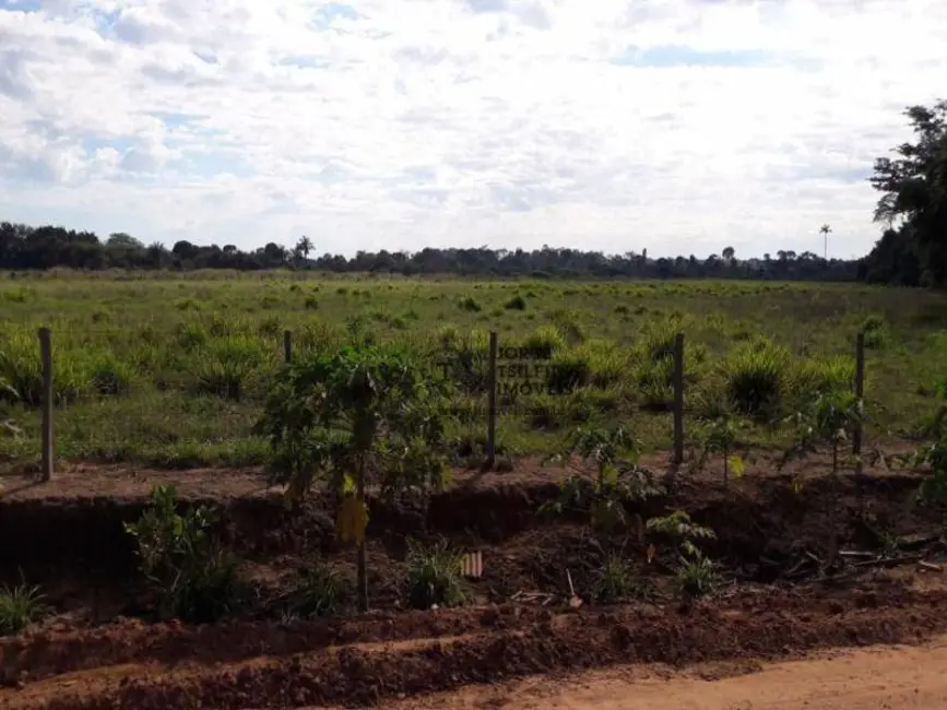 Foto 7 de Sítio / Rancho com 2 quartos à venda, 310000m2 em Chácara de Lazer Monaliza, Sinop - MT