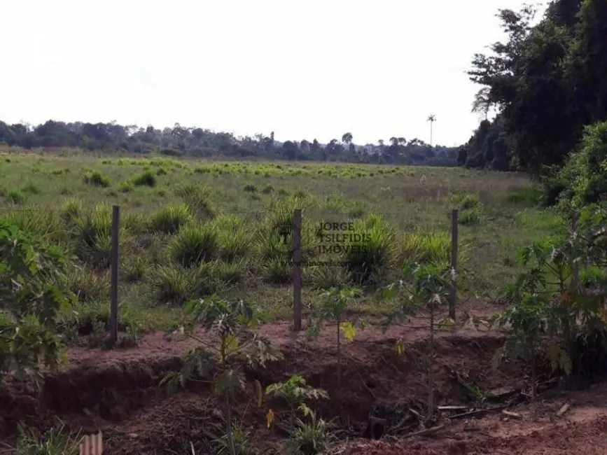 Foto 8 de Sítio / Rancho com 2 quartos à venda, 310000m2 em Chácara de Lazer Monaliza, Sinop - MT