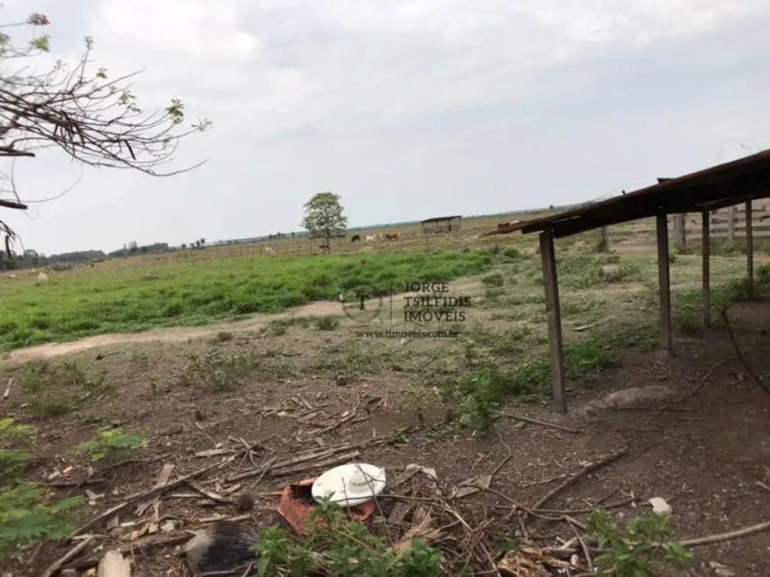 Foto 6 de Sítio / Rancho com 3 quartos à venda, 121000m2 em Sinop - MT