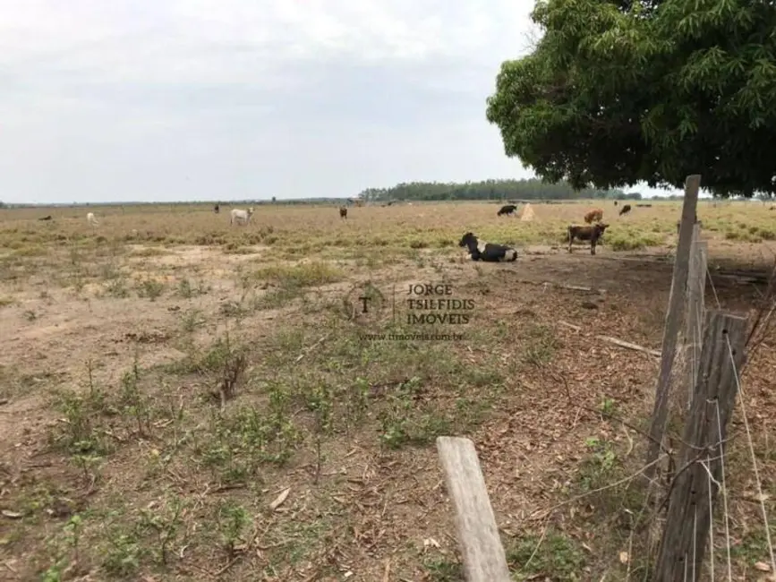 Foto 7 de Sítio / Rancho com 3 quartos à venda, 121000m2 em Sinop - MT