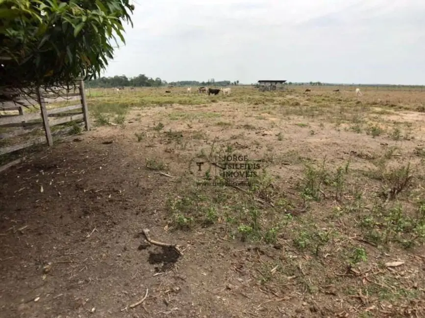 Foto 9 de Sítio / Rancho com 3 quartos à venda, 121000m2 em Sinop - MT