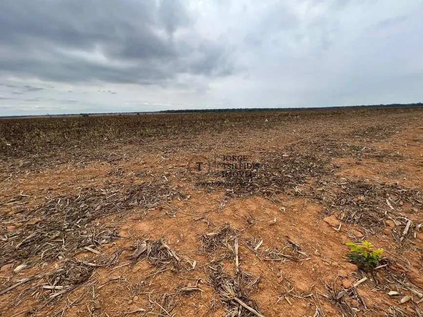 Foto 4 de Sítio / Rancho com 1 quarto à venda, 1000000m2 em Jardim Maria Vindilina II, Sinop - MT