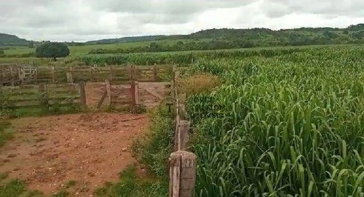 Foto 1 de Fazenda / Haras com 3 quartos à venda, 13790000m2 em Matupa - MT
