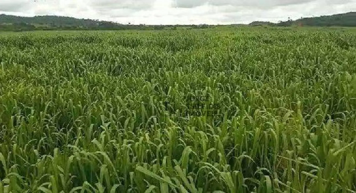 Foto 2 de Fazenda / Haras com 3 quartos à venda, 13790000m2 em Matupa - MT