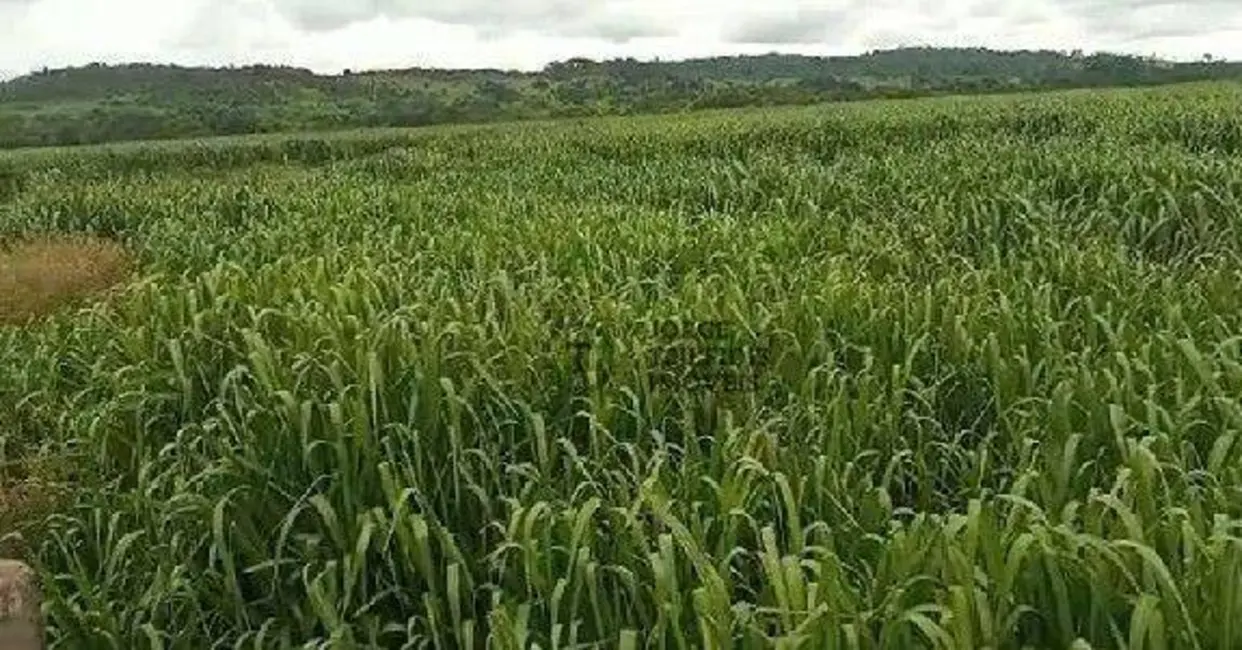 Foto 3 de Fazenda / Haras com 3 quartos à venda, 13790000m2 em Matupa - MT