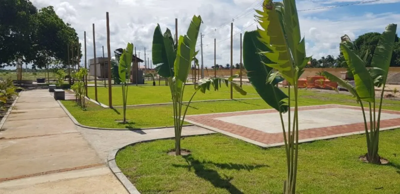 Terreno / Lote à venda, 176m2 em Piacabucu - AL - imagem 7 Foto 7 de Terreno / Lote à venda, 176m2 em Piacabucu - AL