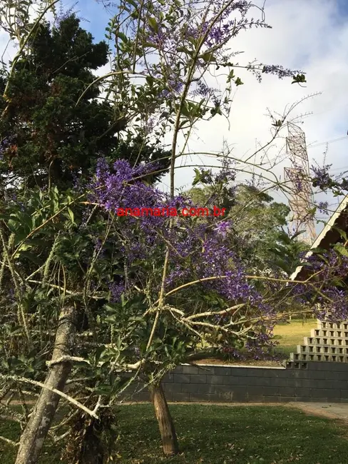 Foto 3 de Sítio / Rancho com 2 quartos à venda, 70m2 em Taiaçupeba, Mogi Das Cruzes - SP