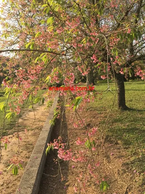 Foto 4 de Sítio / Rancho com 2 quartos à venda, 70m2 em Taiaçupeba, Mogi Das Cruzes - SP
