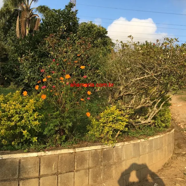 Foto 9 de Sítio / Rancho com 2 quartos à venda, 70m2 em Taiaçupeba, Mogi Das Cruzes - SP