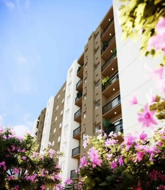 Apartamento com 2 quartos à venda, 46m2 em Taquara, Rio De Janeiro - RJ - imagem 5 Foto 5 de Apartamento com 2 quartos à venda, 46m2 em Taquara, Rio De Janeiro - RJ