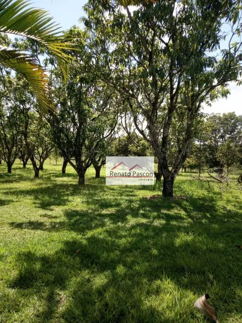 Foto 5 de Chácara com 3 quartos à venda, 22000m2 em Jardim Nova Limeira, Limeira - SP