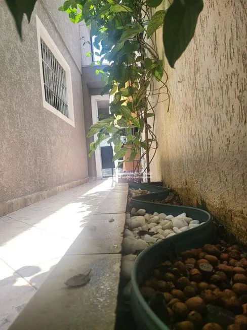 Foto 6 de Sobrado com 3 quartos à venda, 150m2 em Parque Edu Chaves, São Paulo - SP