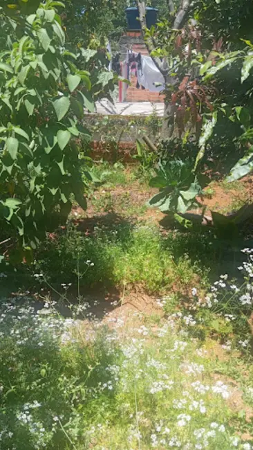 Foto 5 de Sobrado com 3 quartos à venda, 600m2 em Recreio São Jorge, Guarulhos - SP