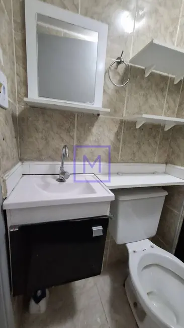 Foto 11 de Apartamento com 2 quartos para alugar, 48m2 em Vila Carmosina, São Paulo - SP