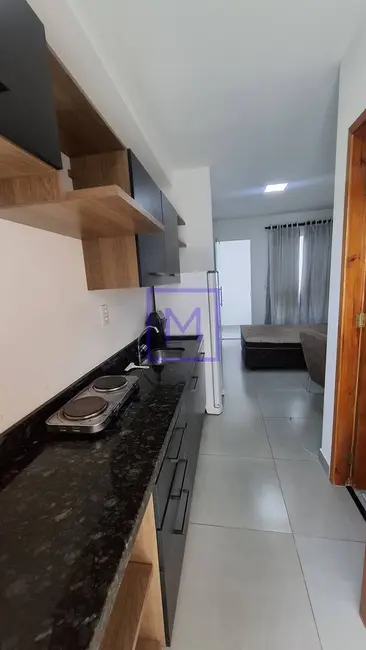 Foto 2 de Apartamento com 1 quarto para alugar, 20m2 em Itaquera, São Paulo - SP