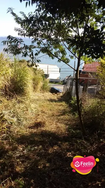 Terreno / Lote à venda, 11475m2 em Ribeirão da Ilha, Florianopolis - SC - imagem 7 Foto 7 de Terreno / Lote à venda, 11475m2 em Ribeirão da Ilha, Florianopolis - SC