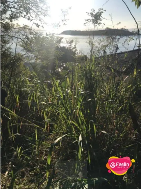 Terreno / Lote à venda, 11475m2 em Ribeirão da Ilha, Florianopolis - SC - imagem 5 Foto 5 de Terreno / Lote à venda, 11475m2 em Ribeirão da Ilha, Florianopolis - SC