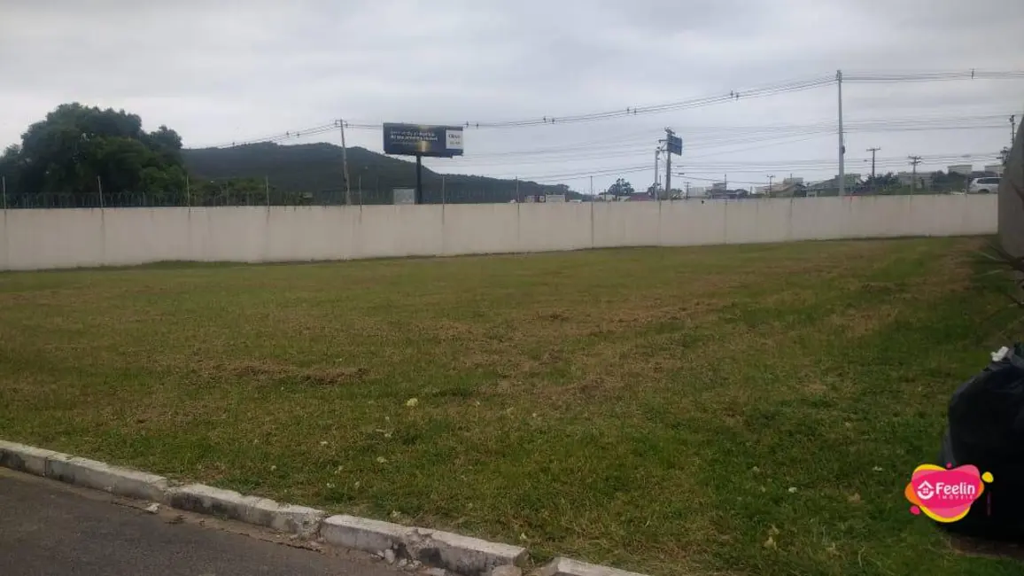 Foto 2 de Terreno / Lote à venda, 586m2 em Campeche, Florianopolis - SC