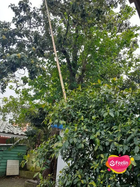 Terreno / Lote à venda, 497m2 em Morro das Pedras, Florianopolis - SC - imagem 5 Foto 5 de Terreno / Lote à venda, 497m2 em Morro das Pedras, Florianopolis - SC