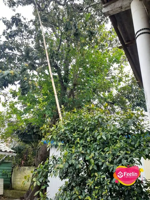 Terreno / Lote à venda, 497m2 em Morro das Pedras, Florianopolis - SC - imagem 4 Foto 4 de Terreno / Lote à venda, 497m2 em Morro das Pedras, Florianopolis - SC