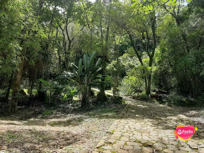 Terreno / Lote à venda, 20000m2 em Armação do Pântano do Sul, Florianopolis - SC - imagem 6 Foto 6 de Terreno / Lote à venda, 20000m2 em Armação do Pântano do Sul, Florianopolis - SC